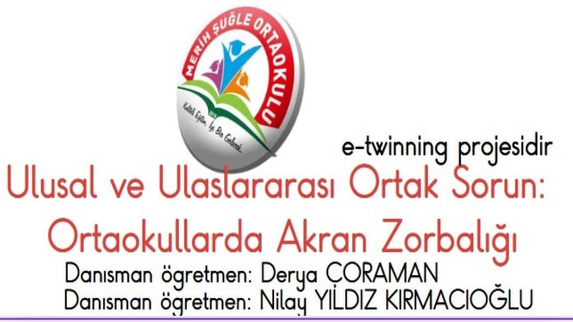 Ulusal ve Ulaslararası Ortak Sorun: Ortaokullarda Akran Zorbalığı