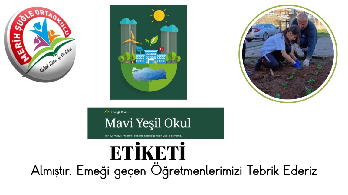 Enerji Dostu Mavi Yeşil Okul